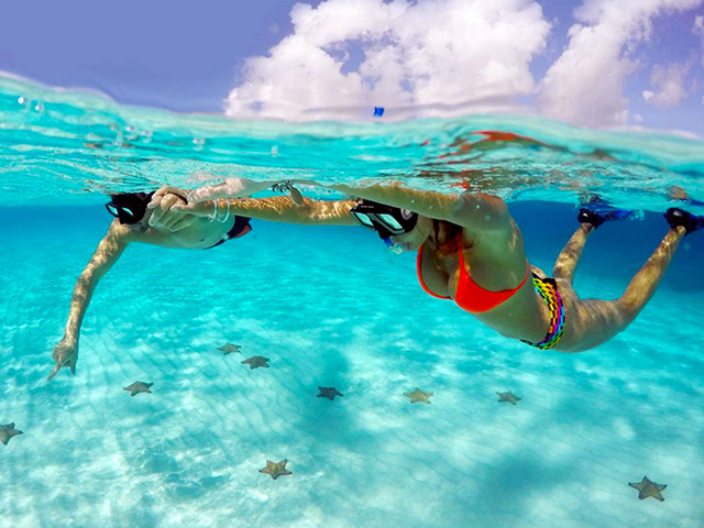 Tours & Activities in Cozumel