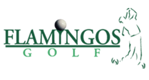 Flamingos