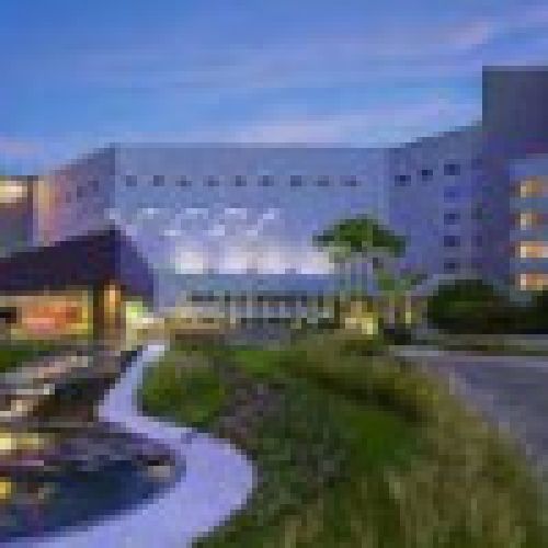 Hard Rock Hotel Vallarta