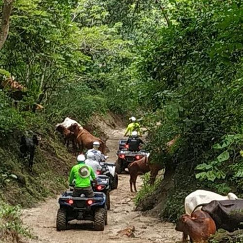 ATV Ride At Sierra Vallejo