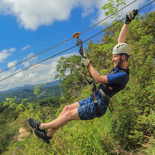 Canopy Adventure