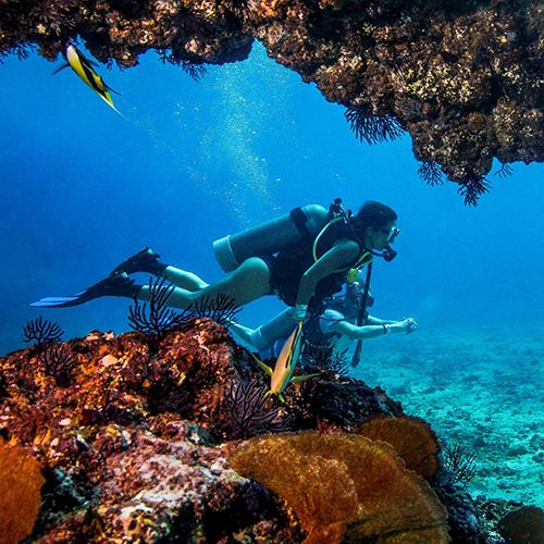 Scuba at Marietas Islands