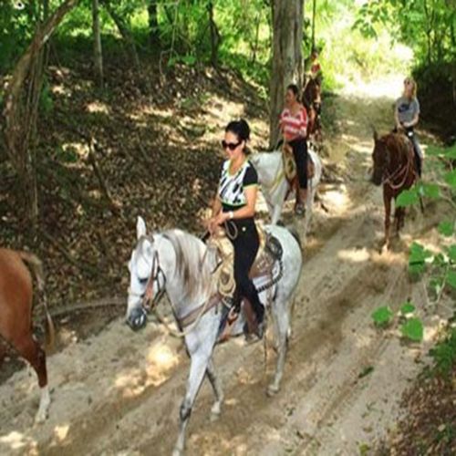 Riding in the Mountain