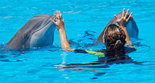 Cabo Dolphins