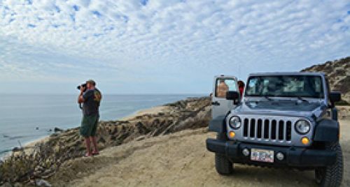 Cabo Pulmo Jeep