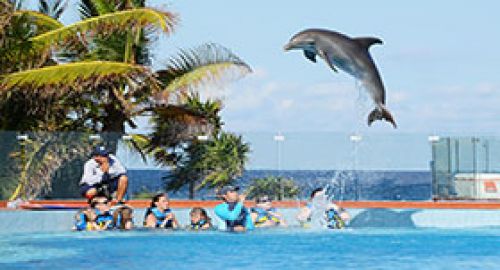 Dolphin Discovery Isla Mujeres