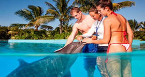Dolphinaris