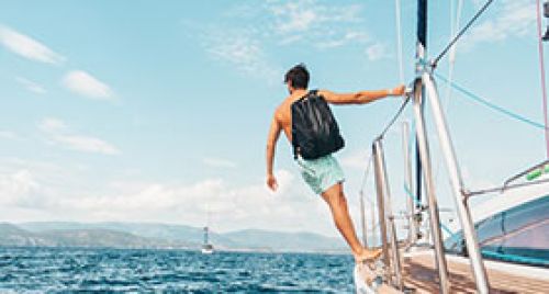 Sea of Cortez Wildlife & Snorkeling Adventure