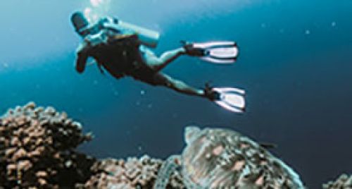 Scuba Diving
