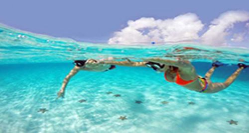 Island Tour Cozumel