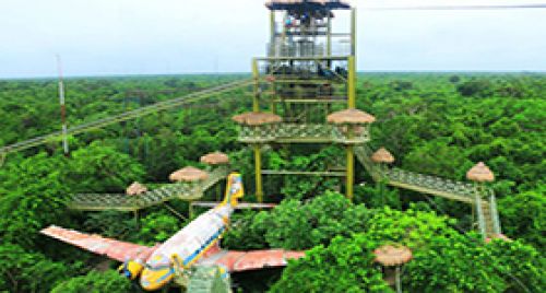 Selvatica