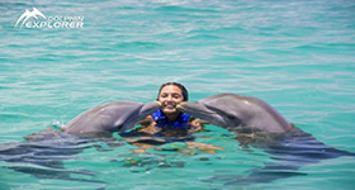 Delphinus