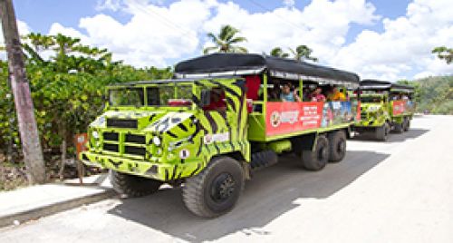Dominican safari